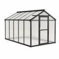 Serre de jardin en aluminium et polycarbonate alvéolaire noire